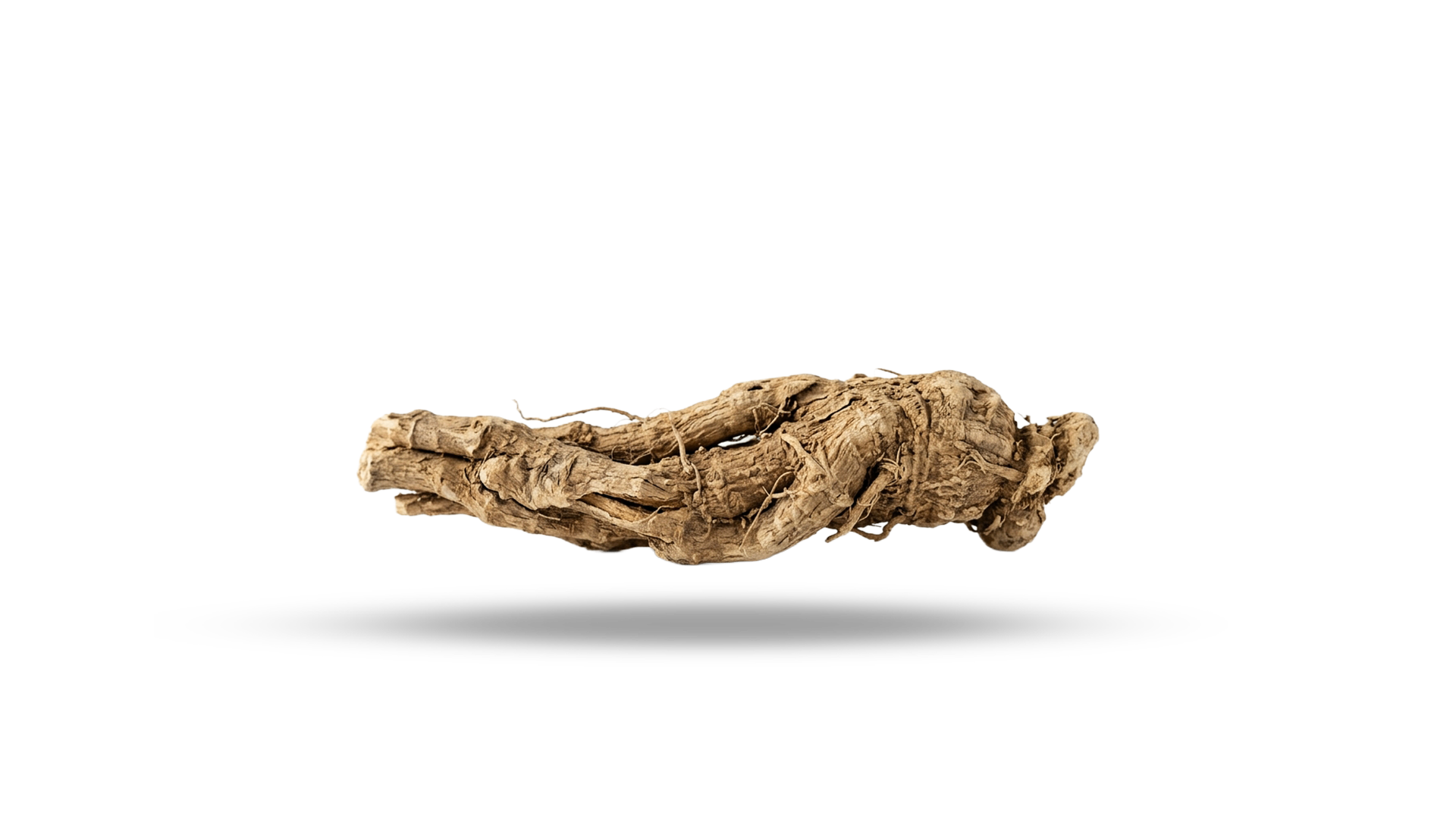 Ashwagandha KSM-66